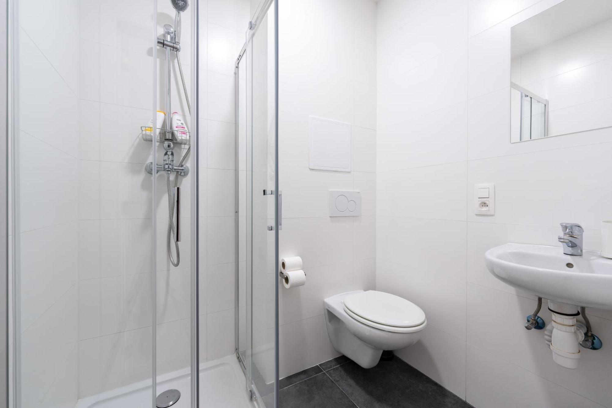 Appartement 6 Bedroom House With Private Bathrooms In Bxl Downtown Brussel